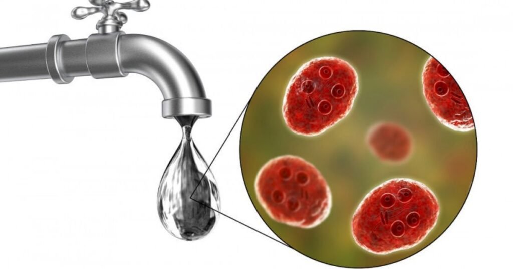 Cholera has been confirmed in five districts of the country