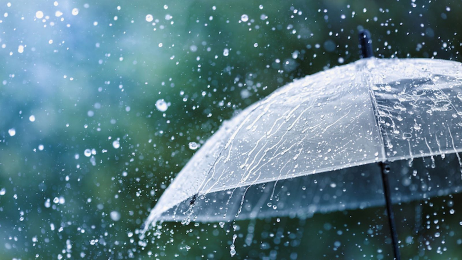 today weather