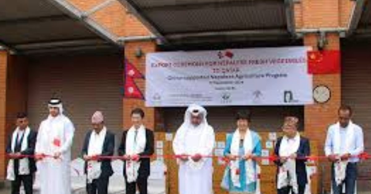 Nepal started exporting vegetables to Qatar from today