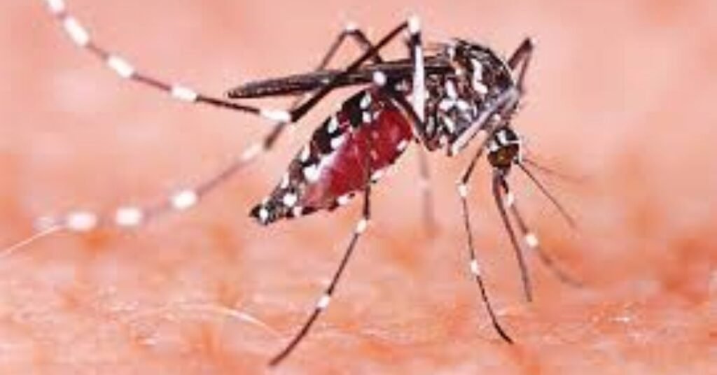 One person died due to dengue infection in Chitwan