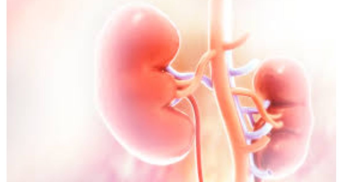 The government formed a task force to find the cause of cancer and kidney disease in Gorkha district