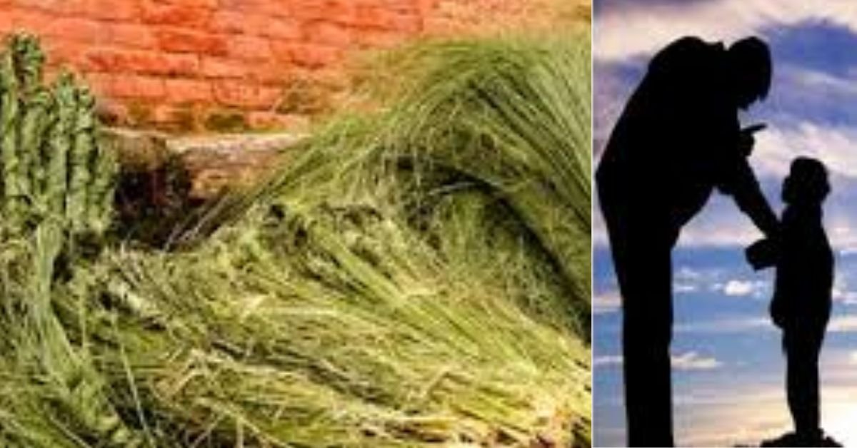 Today on the occasion of Bhadra Krishna Aunsi Kushe Aunsi or the festival of looking at the face of the father is being celebrated