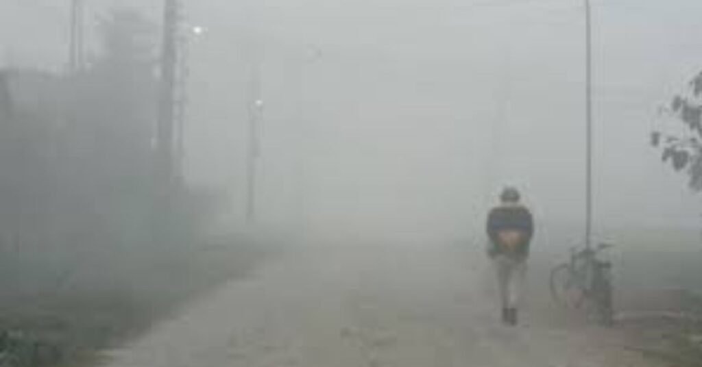 Effect of westerly winds and local winds chance of mist and fog