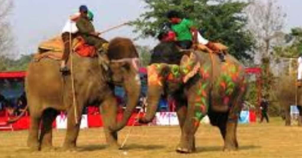 The 18th Elephant and Tourism Festival begins at Sauraha in Chitwan