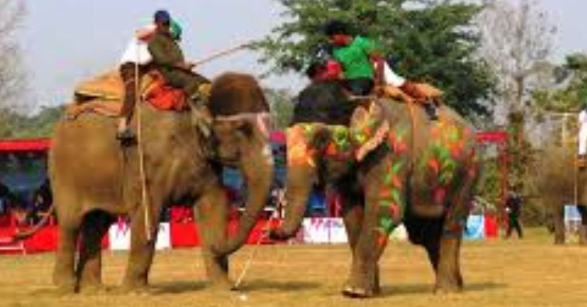 The 18th Elephant and Tourism Festival begins at Sauraha in Chitwan