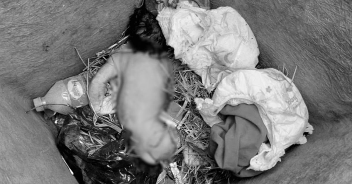 An investigation into the body of a newborn baby found in a dustbin in Pyuthan has begun 1