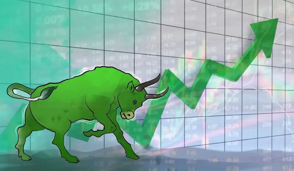 nepse 1 ekz0ey5xym1074859170015580200